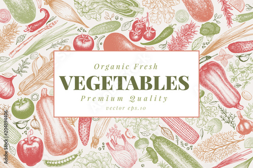 Vegetables hand drawn vector illustration. Retro engraved style banner. Can be use for menu, label, packaging, farm market products.
