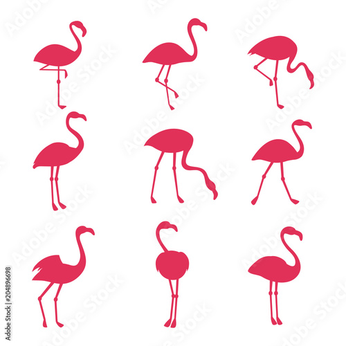 Pink flamingo silhouetes isolated on white background
