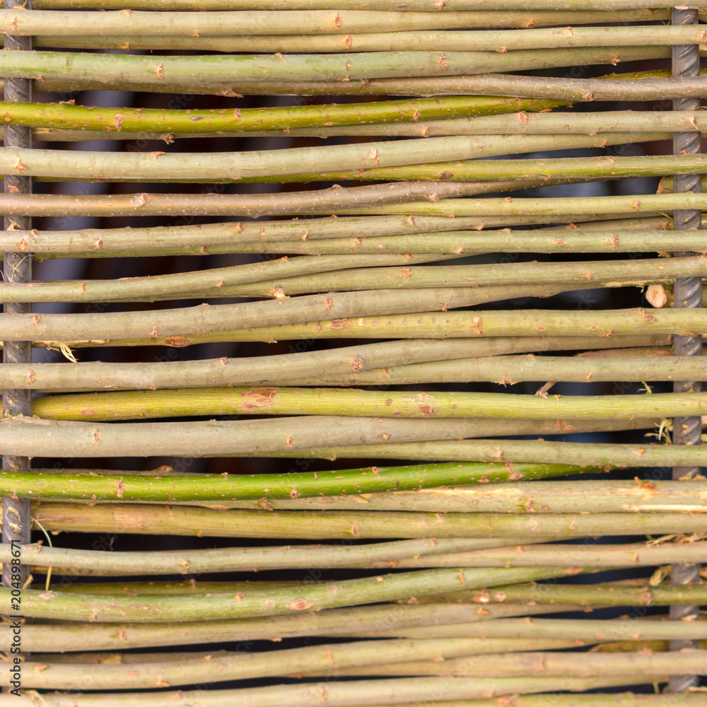wall of willow twigs as background. Rural old fence, made from willow tree twigs and branches. wall of willow twigs as background. Rural old fence, made from willow tree twigs and branches.