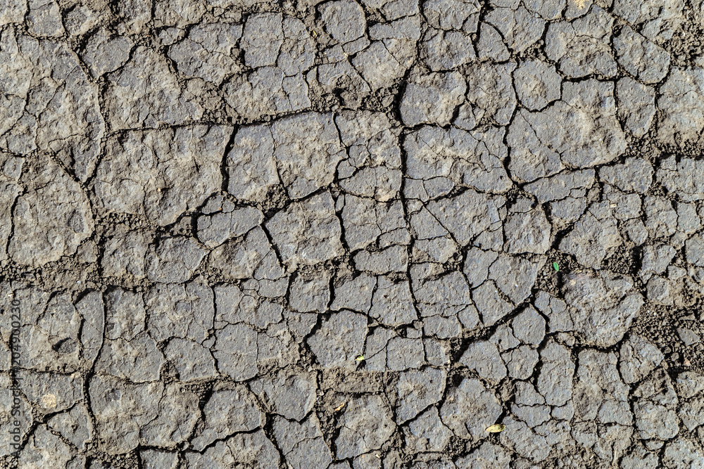 Texture of dry cracked chernozem soil (black soil). Flat surface close-up. Texture of dry cracked chernozem soil (black soil). Flat surface close-up.