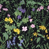 Floral seamless pattern with romantic blossoming wild flowers and meadow flowering herbaceous plants on black background. Natural realistic vector illustration for wallpaper, textile print, backdrop.