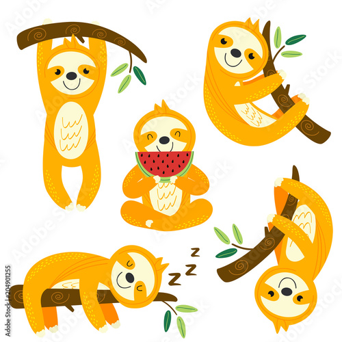 set of isolated funny sloths - vector illustration, eps

