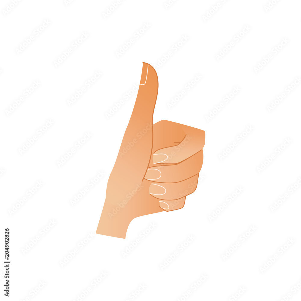 Human hand showing thumbs up gesture isolated on white background - wrist with ok and like sign. Cartoon vector illustration of body part for success concept.