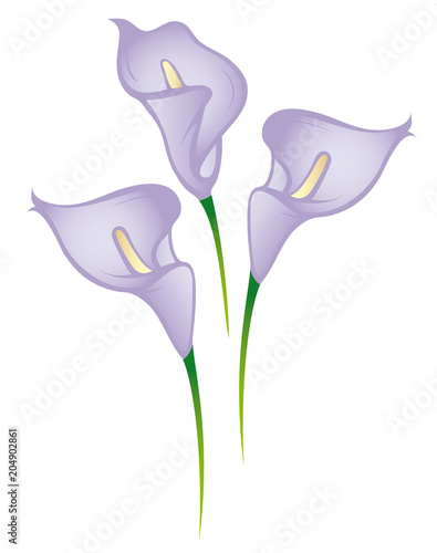 beautiful purple lilies ornaments