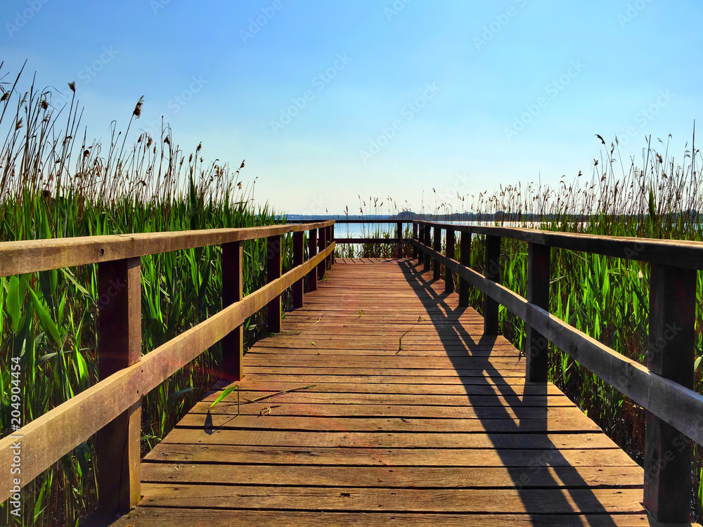 Bohlensteg mit Schilfrohr am Blankensee