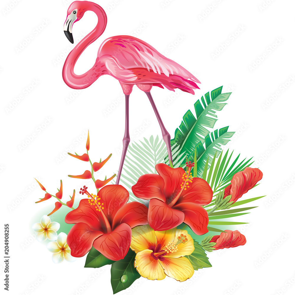 Arrangement from tropical flowers and Flamingoes