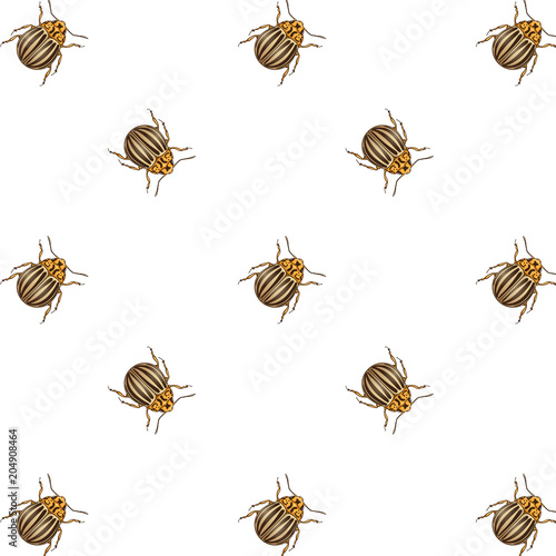 Seamless vector pattern with Colorado beetle isolated on the white background. Good for textile, wrapping paper, package design.