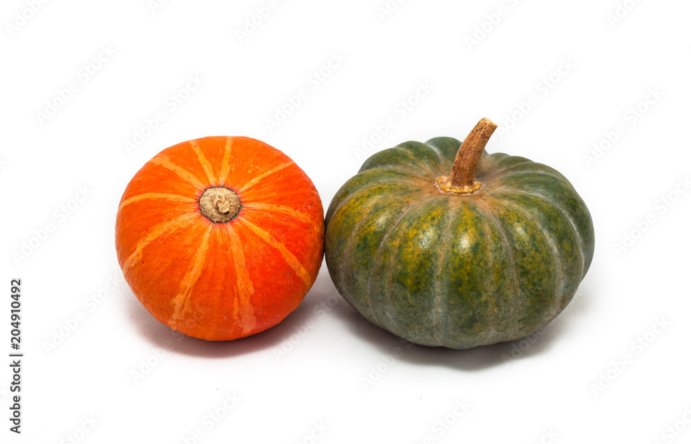 Colorful pumpkin and squash, Red Kuri, Kabocha, Colorful pumpkin and squash, Red Kuri, Kabocha,