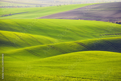 Sunset lines and waves in the spring, South Moravia, Czech Republic © Nataliya Hora