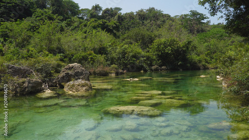 River flows through the rainforest in the jungle. Tropical river, jungle. Tropical Rainforest Landscape.