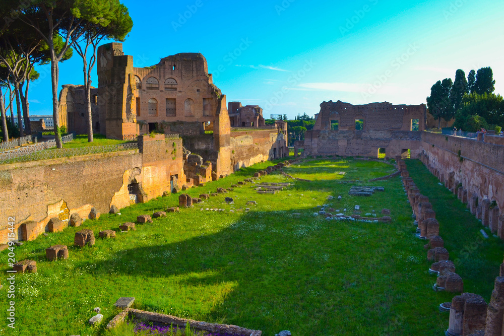 Roman Forum in Rome, Italy. Forum Romanum or Forum Magnum.