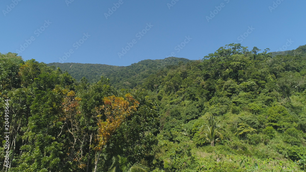 Fototapeta premium Aerial view of mountains with green forest, trees, jungle with blue sky. Slopes of mountains with tropical rainforest. Philippines, Luzon. Tropical landscape in Asia.