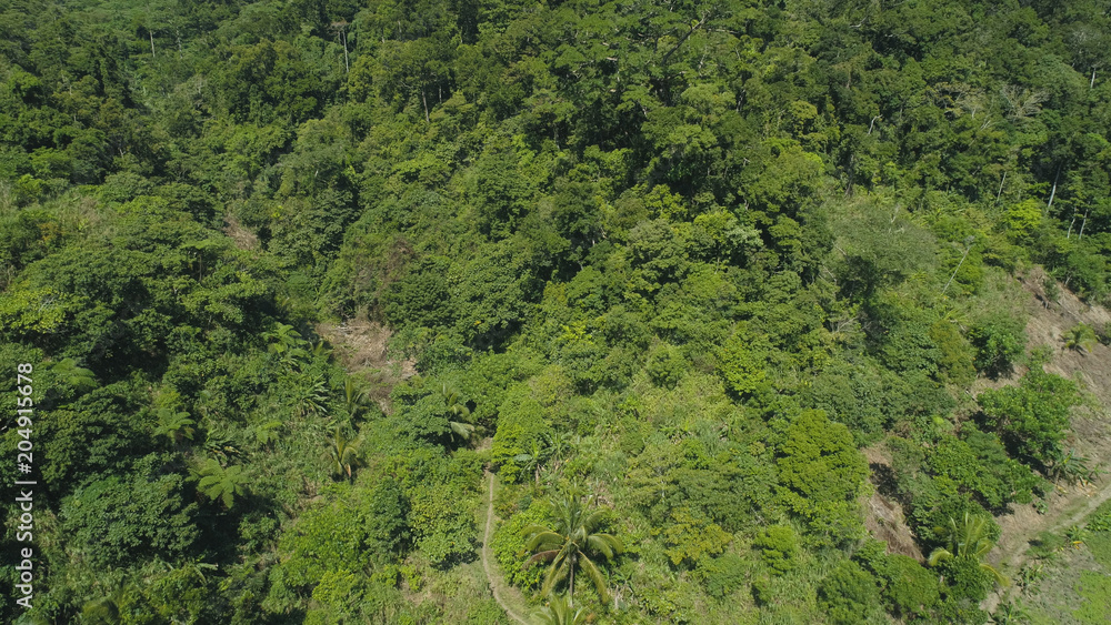 Aerial view of mountains with green forest, trees, jungle. Slopes of mountains with tropical rainforest. Philippines, Luzon. Tropical landscape in Asia.