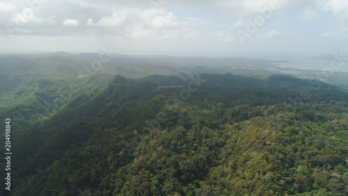 Aerial view of mountains covered rainforest  trees. Luzon  Philippines. Slopes of mountains with evergreen vegetation. Mountainous tropical landscape.