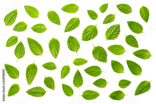 collection of fresh peppermint leaves isolated on white, top view