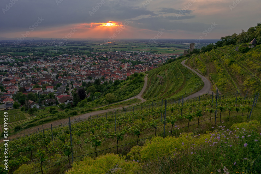 Aerial panoramic view from the vineyard hill on the Mountain Road (Bergstrasse) valley, the roofs of the German town Schriesheim and the town’s landmark, the Strahlenburg Castle on the right