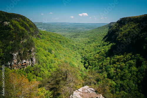 Cloudland Canyon State Park