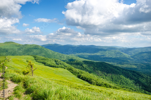 Fototapeta Naklejka Na Ścianę i Meble -  Zielone Bieszczady