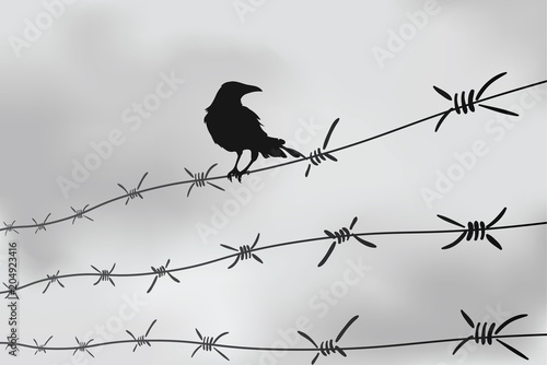 Barbed wire fencing. Fence made of wire with spikes. Black and white illustration to the holocaust. Console camp.