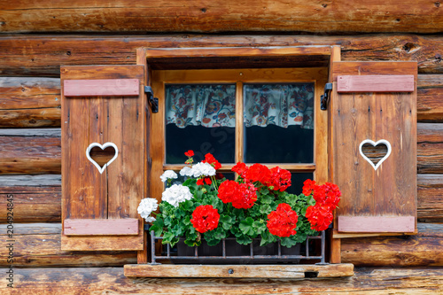Tableau sur toile Typical bavarian or austrian wooden window with red geranium flowers on house in