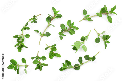 Fresh thyme spice isolated on white background. Top view. Flat lay pattern