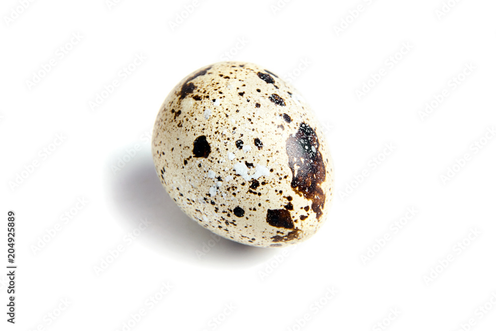 Quail spotted egg, isolated on a white background Quail spotted egg, isolated on a white background