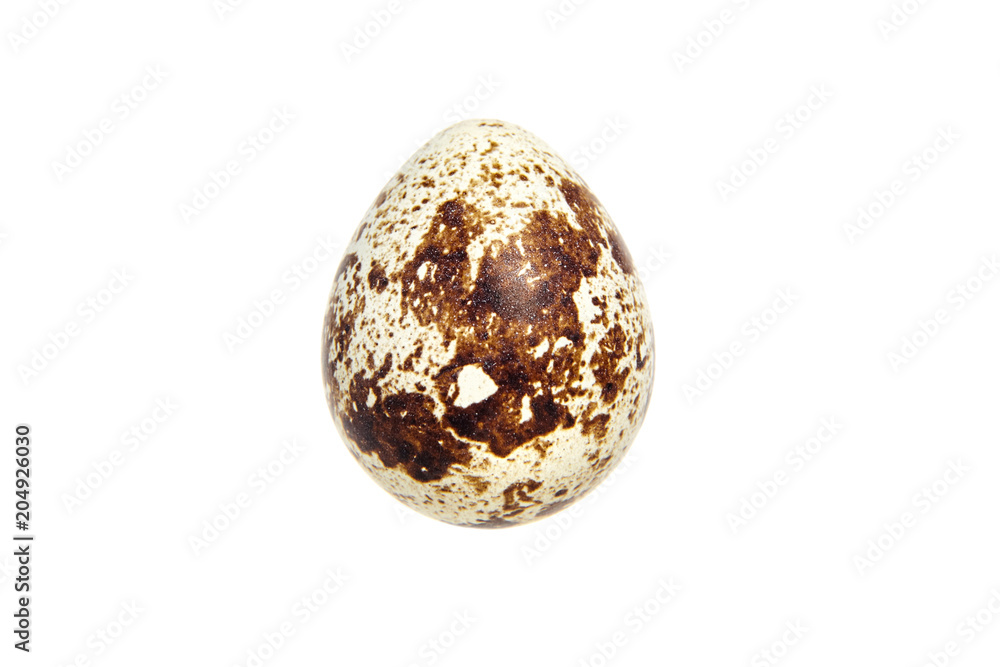 Quail spotted egg, isolated on a white background Quail spotted egg, isolated on a white background