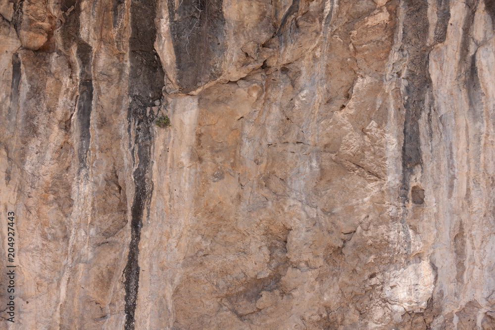 Fototapeta premium Close up to rock face.