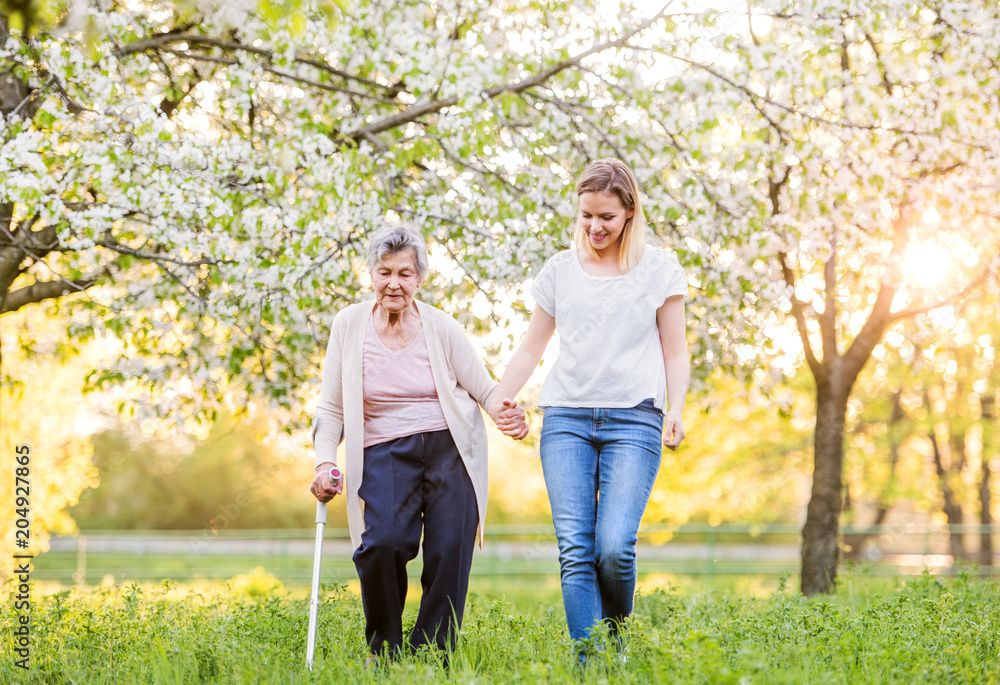Obraz premium Elderly grandmother with crutch and granddaughter in spring nature.