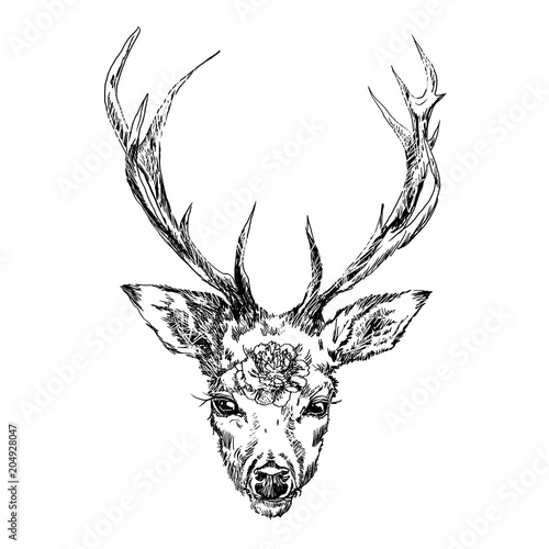 A young deer with horny horns on which peonies are planted. Illustration. Design a tattoo, a symbol of mystical magic for your use.