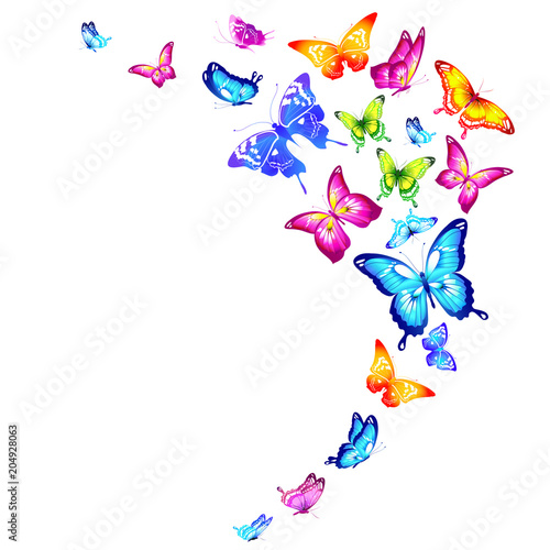 Naklejka piękne kolorowe motyle, zestaw, odizolowane na białym