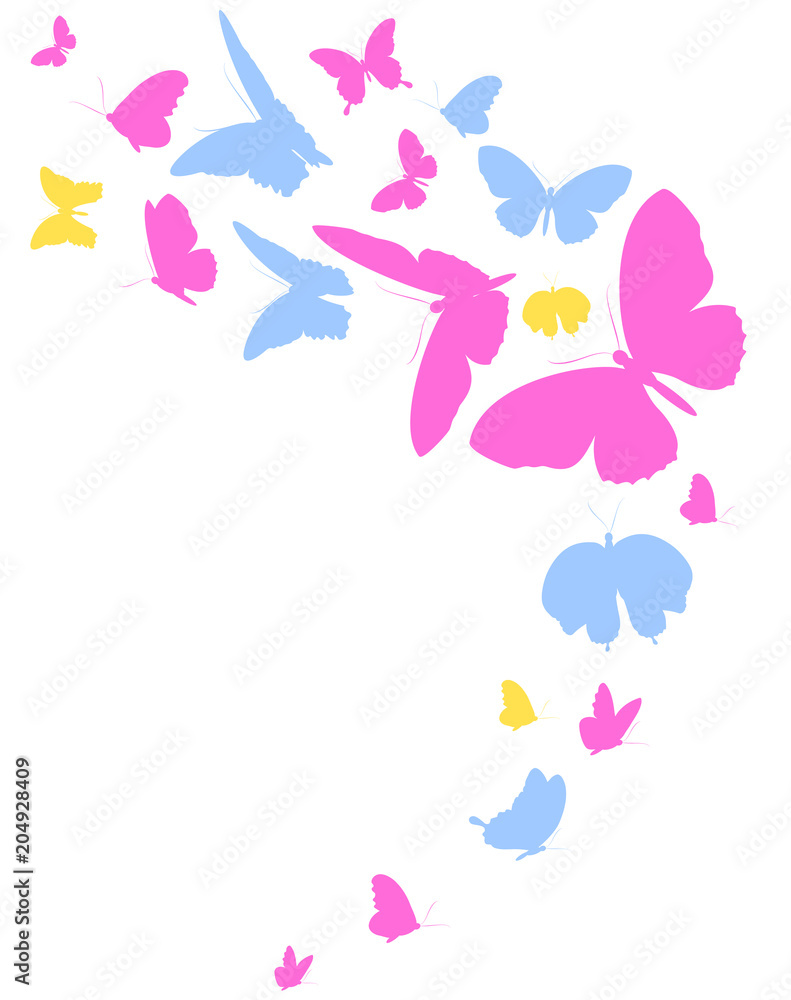 beautiful color butterflies,set, isolated  on a white