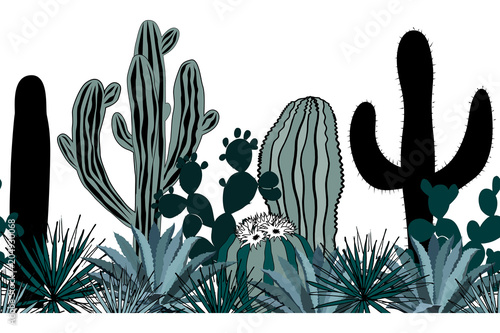 Hand drawn seamless pattern with cacti