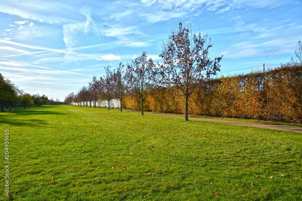 Obraz premium Chateau park