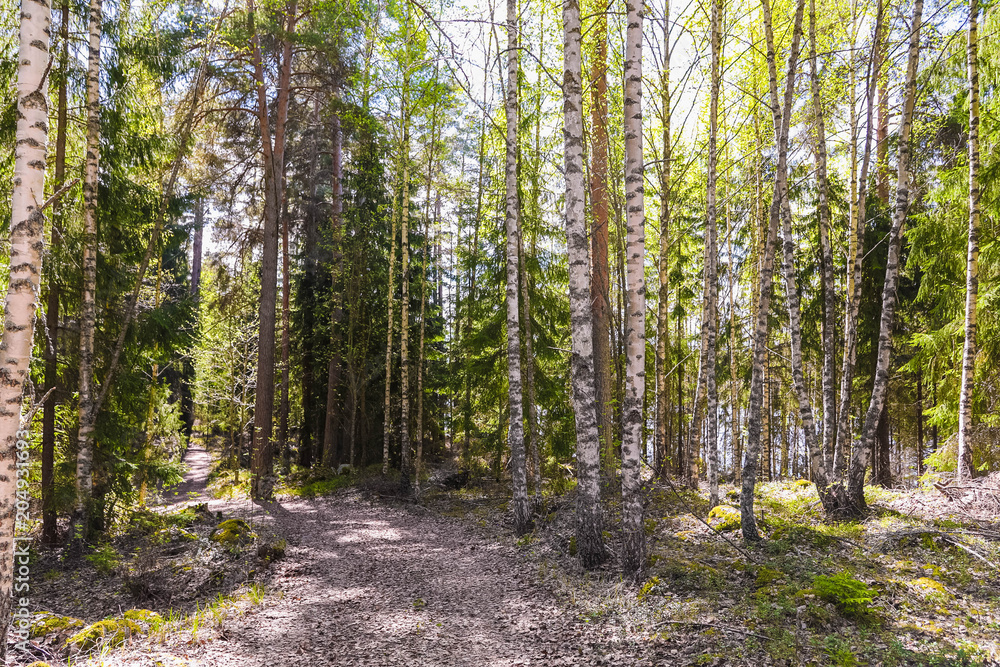 Spring in Finland, lake and forest, sunset, nature photography. Travel. Spring in Finland, lake and forest, sunset, nature photography. Travel.