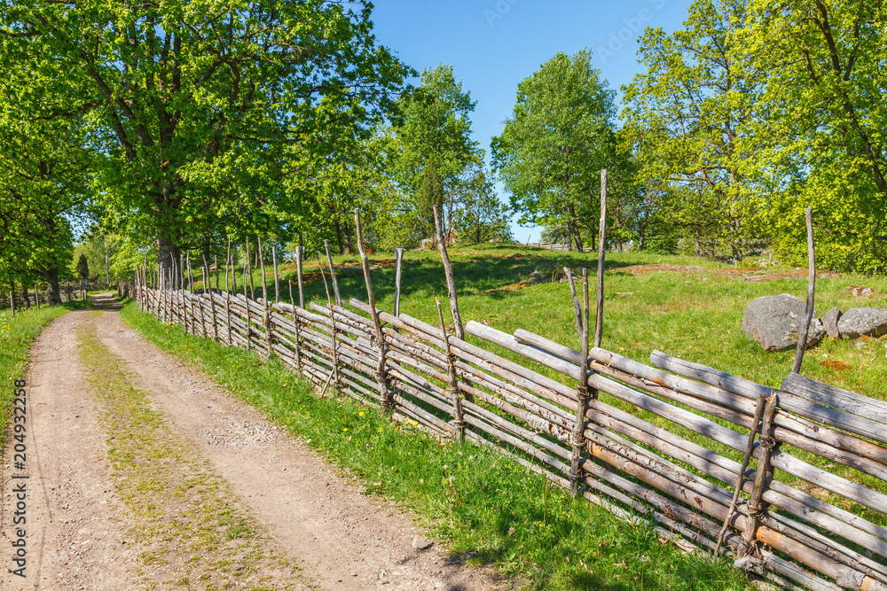 Beautiful rural landscape with a dirt road in the summer Beautiful rural landscape with a dirt road in the summer