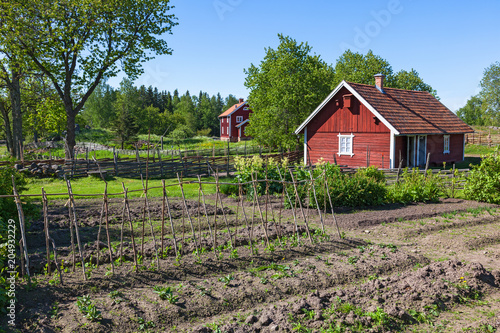 Vegetable Garden with country house