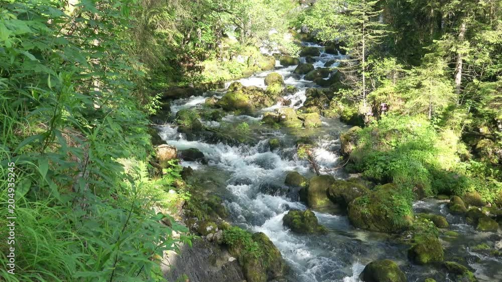Flowing Mountain River in green Forest Landscape. 4K Ultra HD Flowing Mountain River in green Forest Landscape. 4K Ultra HD