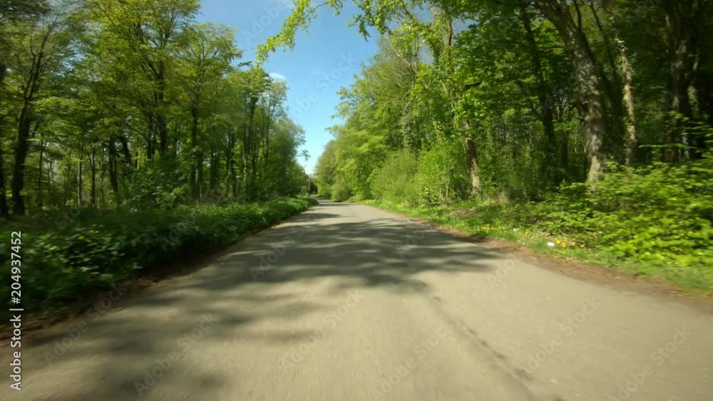Driving along a narrow twisting country road through a springtime sunlit forest in the English countryside in Northamptonshire in England. Vehicle POV. Driving along a narrow twisting country road through a springtime sunlit forest in the English countryside in Northamptonshire in England. Vehicle POV.