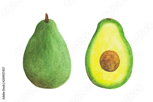 Sliced green watercolor avocado fruit isolated on white background. Drawing by hand and painted illustration.