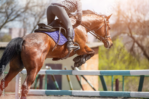 Young girl on bay horse jumping over hurdle in show jumping training