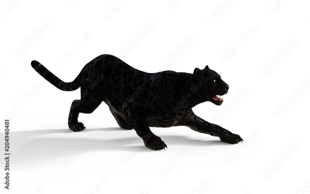 Fototapeta premium 3d Illustration Black Panther Isolate on White Background with Clipping Path, Black Tiger