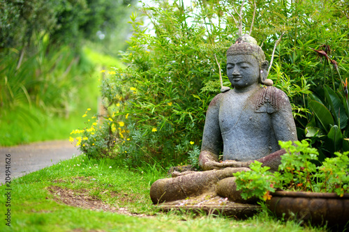 Buddha statue at the Alii Kula Lavender Farm on Maui  Hawaii