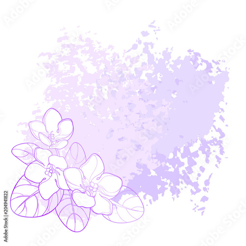 Vector corner bouquet with outline Saintpaulia or African violet flower and leaf in purple on the pastel textured background. Viola flower in contour for indoor floriculture and summer design.