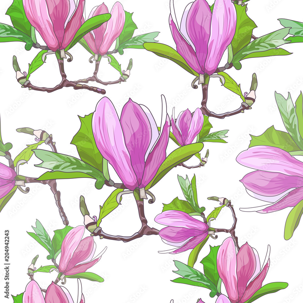 Magnolia blooms.Print