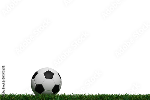 3D rendering soccer ball on green grass