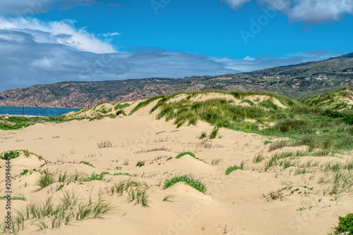 Beautiful white sand dune and grasses under puffy cloud sky