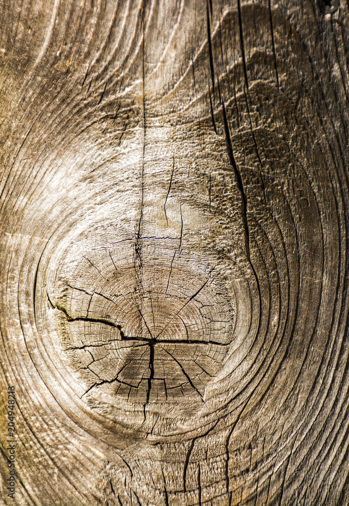 Fototapeta premium The structure of the old tree. Boards unsuitable for construction. Wood waste.