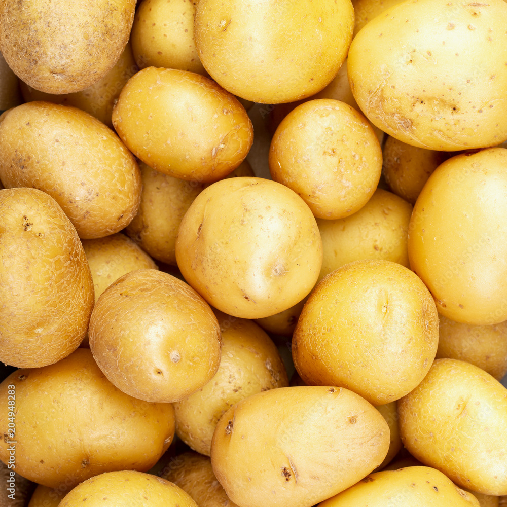 Background of fresh potatoes. Top view. Square. Background of fresh potatoes. Top view. Square.