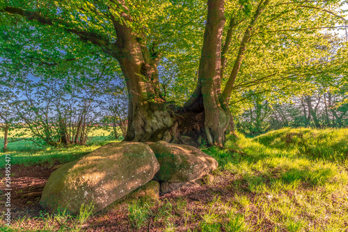 Stoneage Tombs 